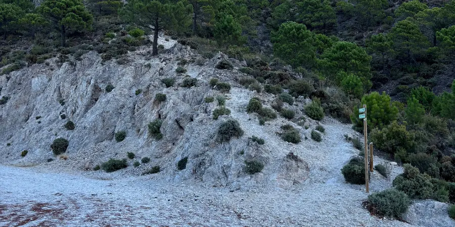 puerto blanquillo